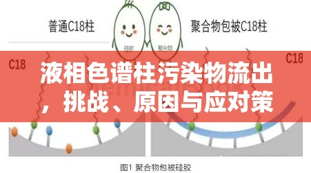 液相色譜柱污染物流出，挑戰(zhàn)、原因與應(yīng)對(duì)策略