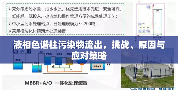 液相色譜柱污染物流出，挑戰(zhàn)、原因與應(yīng)對(duì)策略