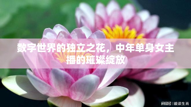 數(shù)字世界的獨(dú)立之花，中年單身女主播的璀璨綻放
