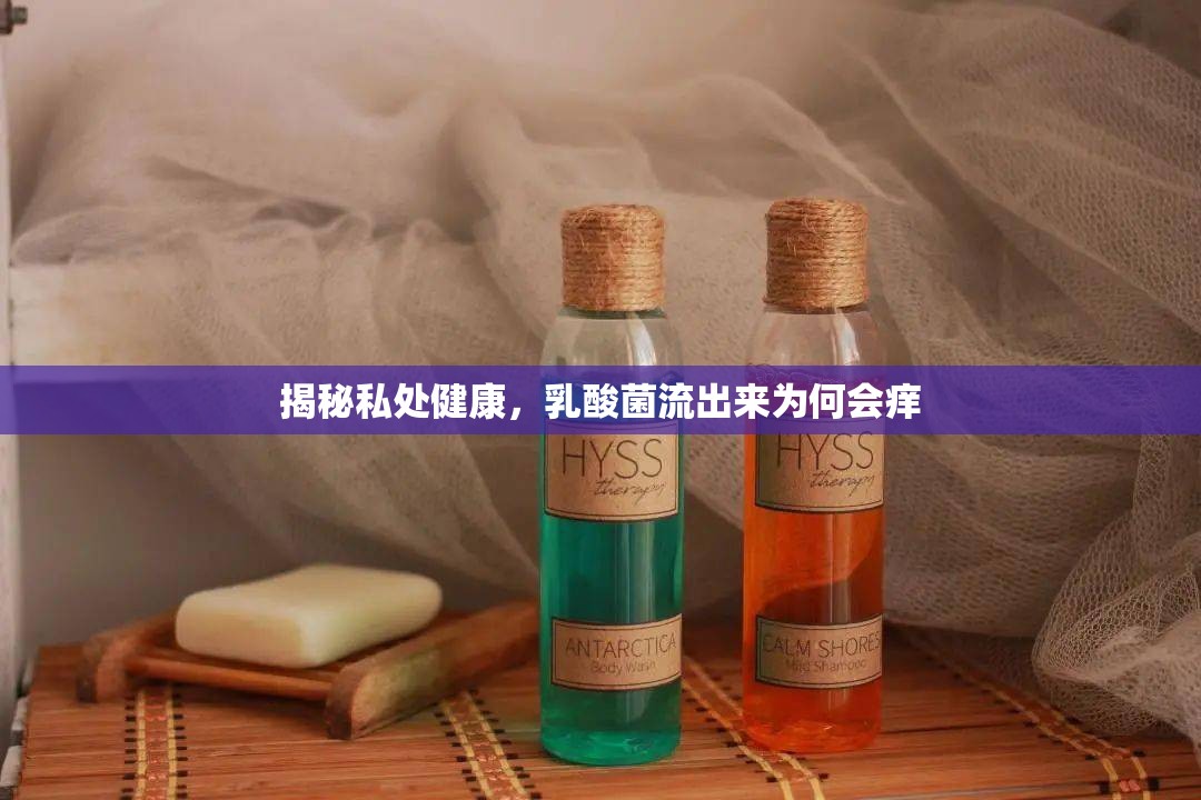 揭秘私處健康，乳酸菌流出來為何會癢
