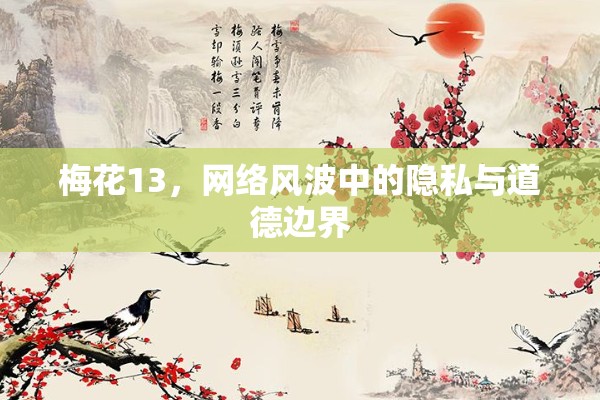 梅花13，網(wǎng)絡風波中的隱私與道德邊界