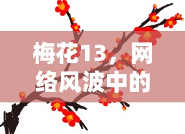 梅花13，網(wǎng)絡風波中的隱私與道德邊界