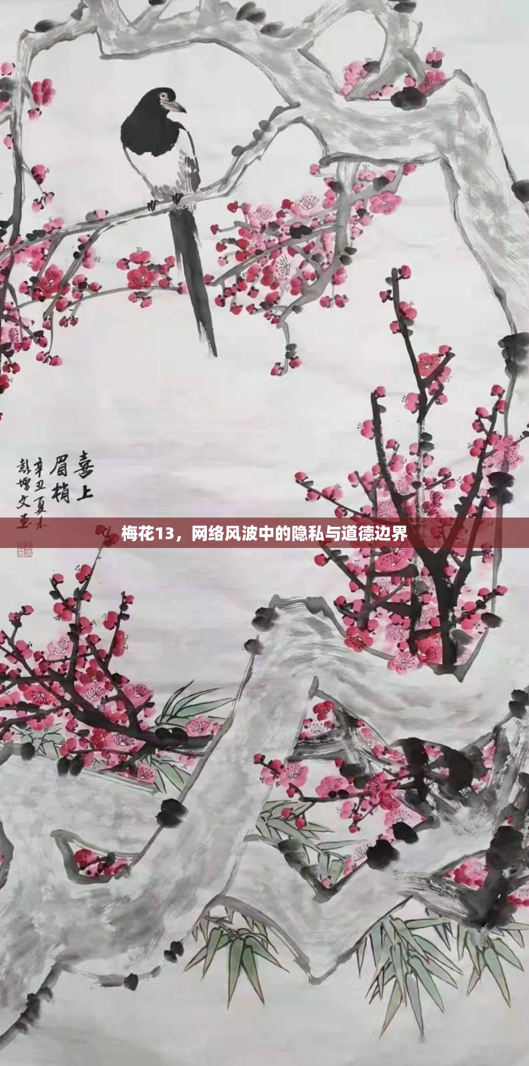 梅花13，網(wǎng)絡風波中的隱私與道德邊界