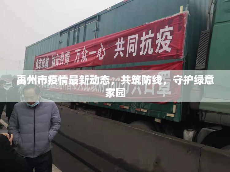 禹州市疫情最新動(dòng)態(tài)，共筑防線，守護(hù)綠意家園