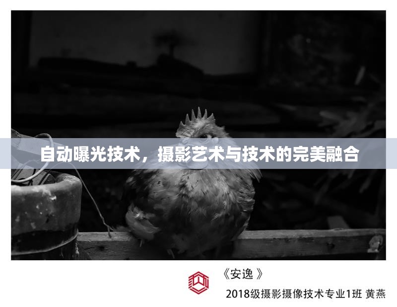 自動(dòng)曝光技術(shù)，攝影藝術(shù)與技術(shù)的完美融合