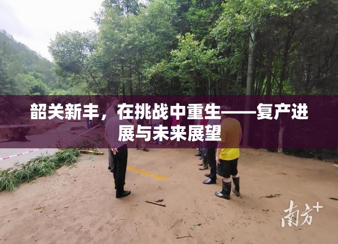 韶關(guān)新豐，在挑戰(zhàn)中重生——復(fù)產(chǎn)進(jìn)展與未來(lái)展望