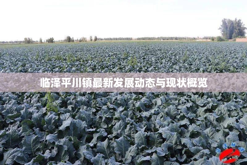 臨澤平川鎮(zhèn)最新發(fā)展動態(tài)與現(xiàn)狀概覽