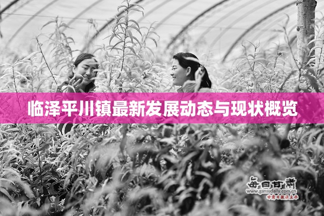 臨澤平川鎮(zhèn)最新發(fā)展動態(tài)與現(xiàn)狀概覽