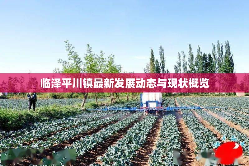 臨澤平川鎮(zhèn)最新發(fā)展動態(tài)與現(xiàn)狀概覽