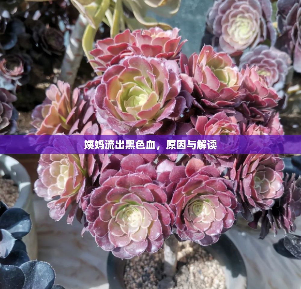 姨媽流出黑色血，原因與解讀