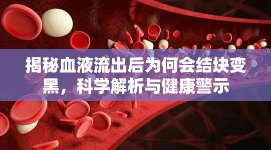 揭秘血液流出后為何會結(jié)塊變黑，科學(xué)解析與健康警示
