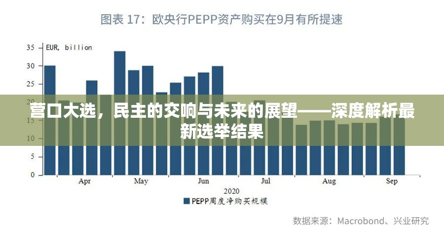 營口大選，民主的交響與未來的展望——深度解析最新選舉結(jié)果