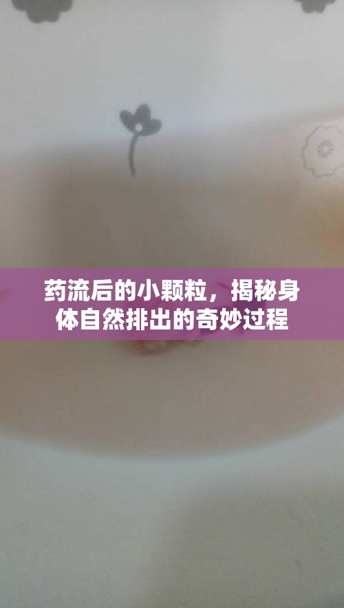 藥流后的小顆粒，揭秘身體自然排出的奇妙過(guò)程