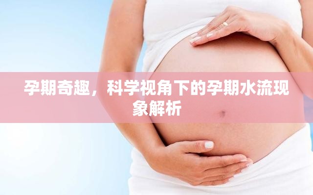 孕期奇趣，科學視角下的孕期水流現(xiàn)象解析