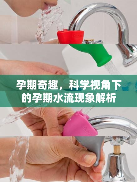 孕期奇趣，科學視角下的孕期水流現(xiàn)象解析