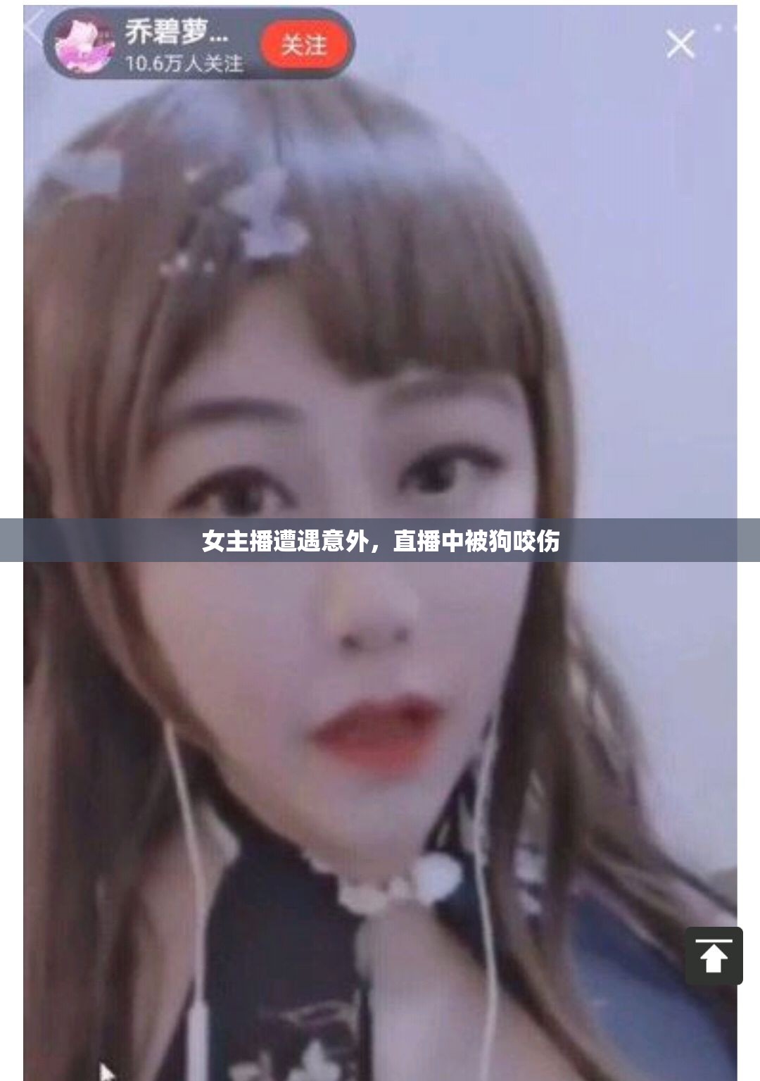 女主播遭遇意外，直播中被狗咬傷