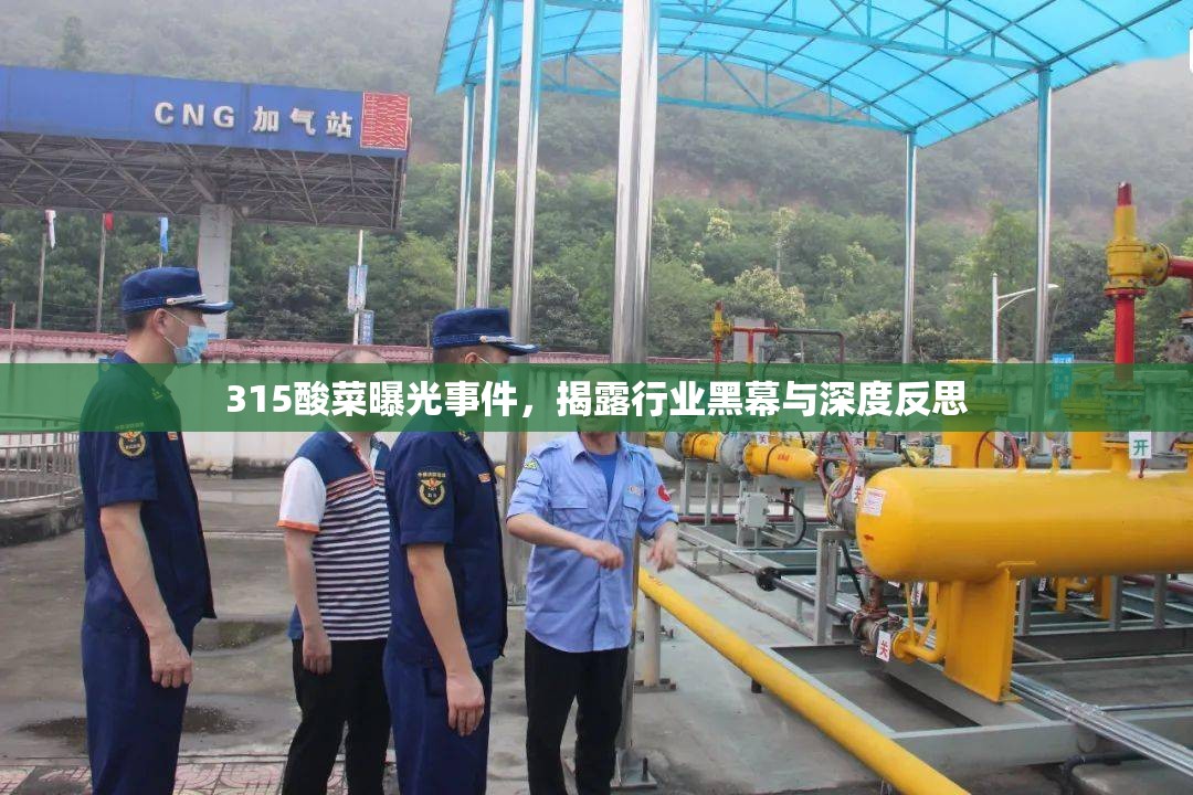 315酸菜曝光事件，揭露行業(yè)黑幕與深度反思