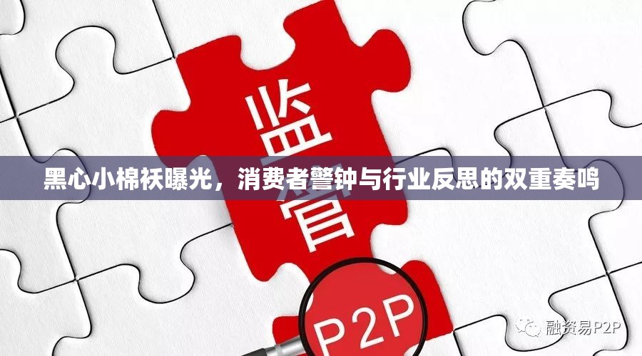 黑心小棉襖曝光，消費(fèi)者警鐘與行業(yè)反思的雙重奏鳴