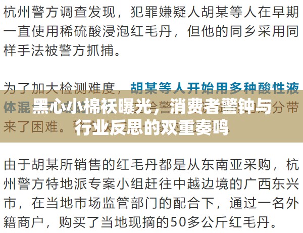 黑心小棉襖曝光，消費(fèi)者警鐘與行業(yè)反思的雙重奏鳴