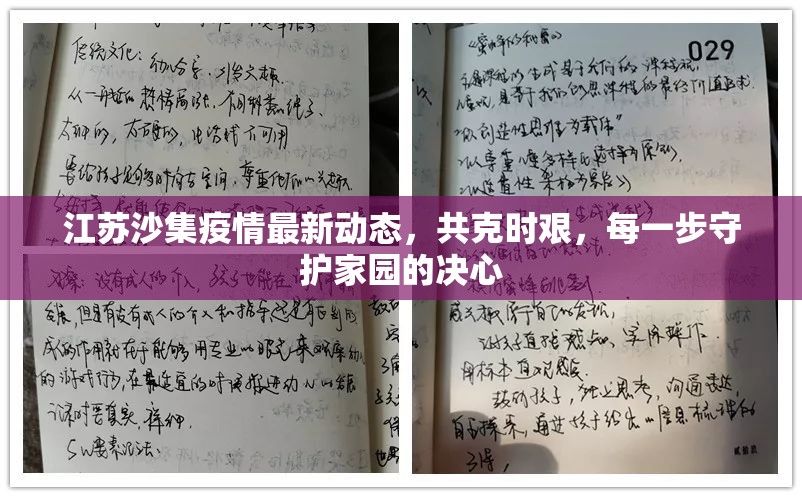 江蘇沙集疫情最新動態(tài)，共克時(shí)艱，每一步守護(hù)家園的決心