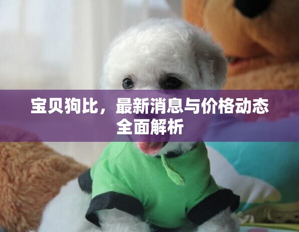 寶貝狗比，最新消息與價(jià)格動(dòng)態(tài)全面解析