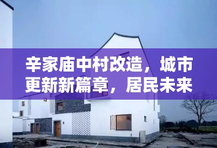 辛家廟中村改造，城市更新新篇章，居民未來美好愿景的啟航