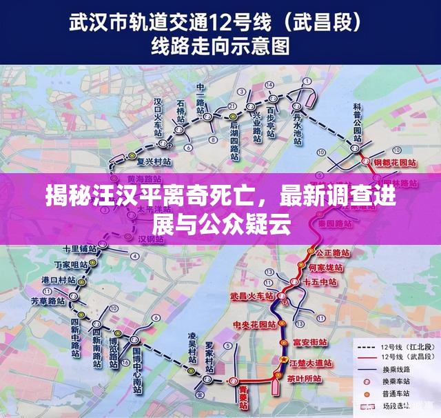 揭秘汪漢平離奇死亡，最新調(diào)查進(jìn)展與公眾疑云