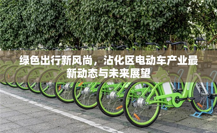 綠色出行新風(fēng)尚，沾化區(qū)電動車產(chǎn)業(yè)最新動態(tài)與未來展望