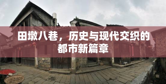 田墩八巷，歷史與現(xiàn)代交織的都市新篇章