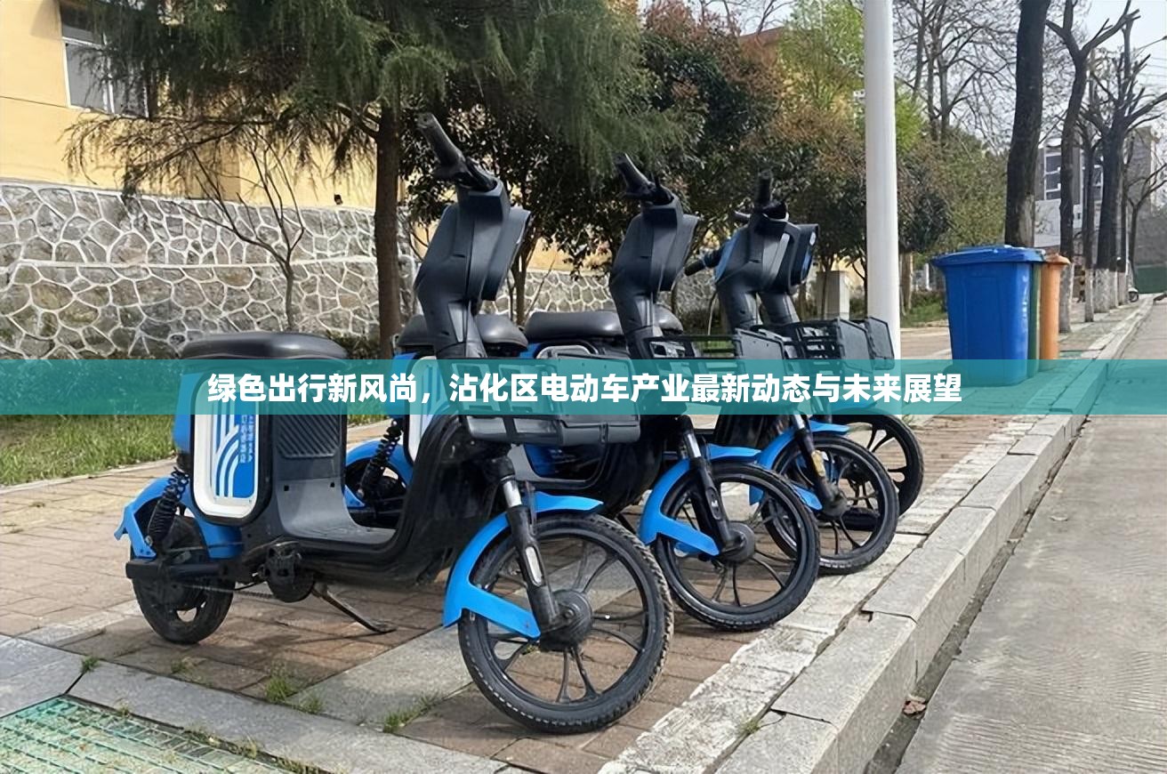 綠色出行新風(fēng)尚，沾化區(qū)電動車產(chǎn)業(yè)最新動態(tài)與未來展望