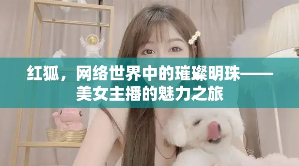 紅狐，網(wǎng)絡世界中的璀璨明珠——美女主播的魅力之旅