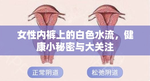 女性內(nèi)褲上的白色水流，健康小秘密與大關注