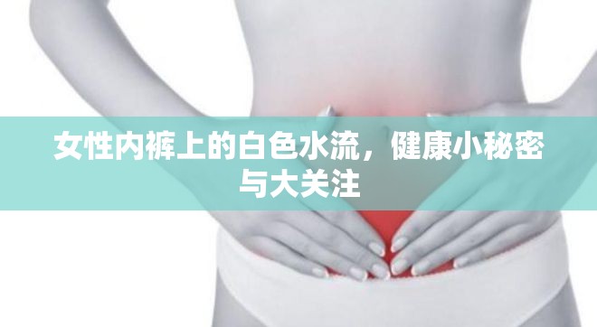女性內(nèi)褲上的白色水流，健康小秘密與大關注