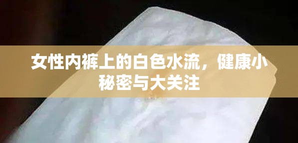女性內(nèi)褲上的白色水流，健康小秘密與大關注