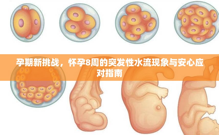 孕期新挑戰(zhàn)，懷孕8周的突發(fā)性水流現(xiàn)象與安心應(yīng)對(duì)指南