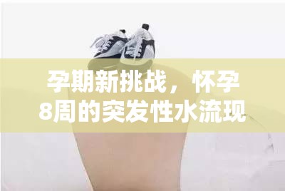 孕期新挑戰(zhàn)，懷孕8周的突發(fā)性水流現(xiàn)象與安心應(yīng)對(duì)指南