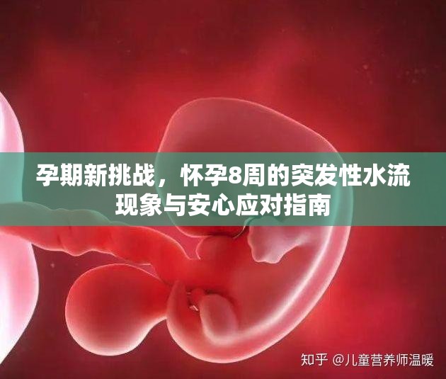 孕期新挑戰(zhàn)，懷孕8周的突發(fā)性水流現(xiàn)象與安心應(yīng)對(duì)指南