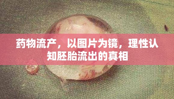 藥物流產(chǎn)，以圖片為鏡，理性認知胚胎流出的真相