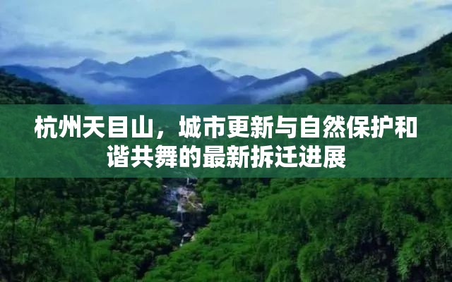 杭州天目山，城市更新與自然保護(hù)和諧共舞的最新拆遷進(jìn)展