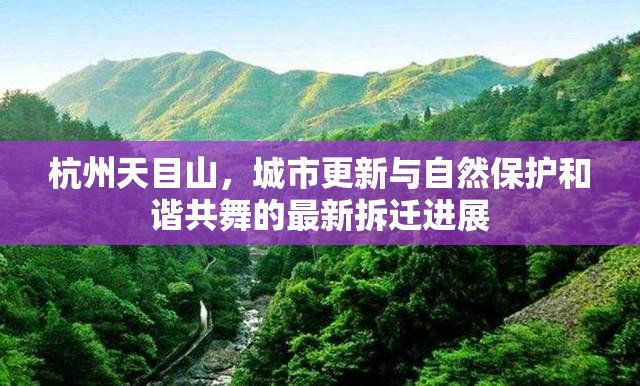 杭州天目山，城市更新與自然保護(hù)和諧共舞的最新拆遷進(jìn)展