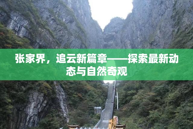 張家界，追云新篇章——探索最新動(dòng)態(tài)與自然奇觀
