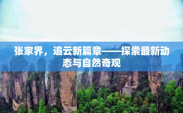 張家界，追云新篇章——探索最新動(dòng)態(tài)與自然奇觀