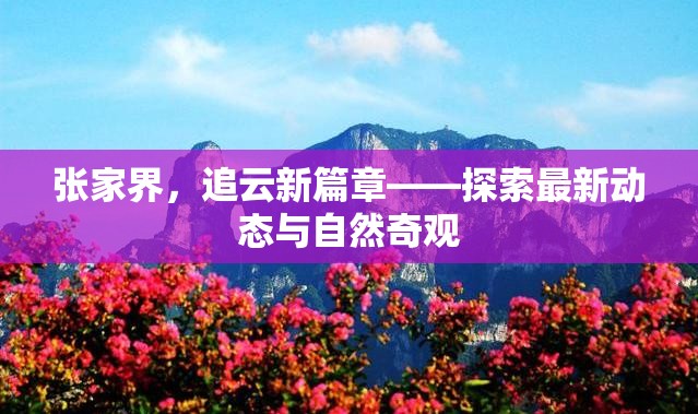 張家界，追云新篇章——探索最新動(dòng)態(tài)與自然奇觀