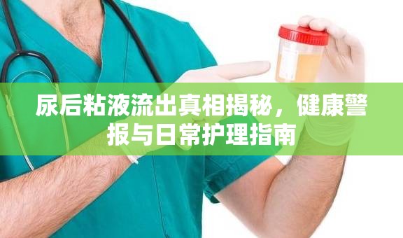 尿后粘液流出真相揭秘，健康警報(bào)與日常護(hù)理指南