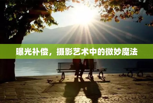 曝光補(bǔ)償，攝影藝術(shù)中的微妙魔法