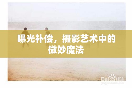 曝光補(bǔ)償，攝影藝術(shù)中的微妙魔法