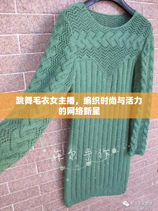 跳舞毛衣女主播，編織時尚與活力的網(wǎng)絡(luò)新星