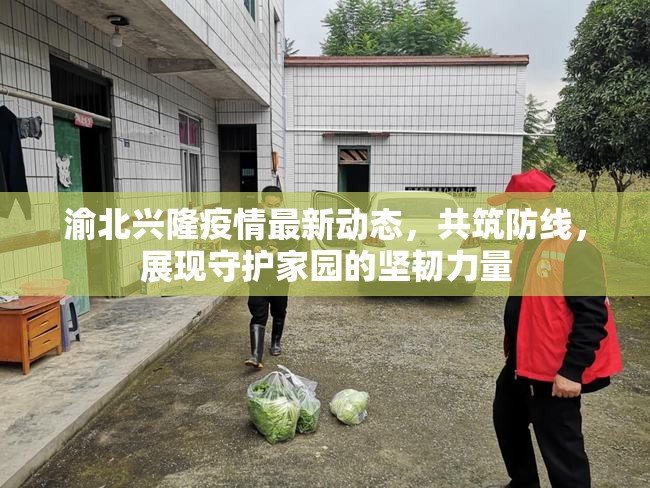 渝北興隆疫情最新動態(tài)，共筑防線，展現(xiàn)守護家園的堅韌力量