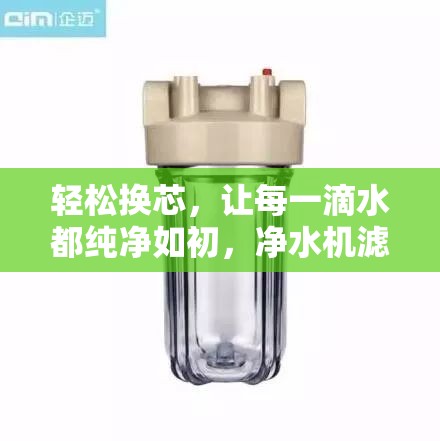 輕松換芯，讓每一滴水都純凈如初，凈水機濾芯更換指南