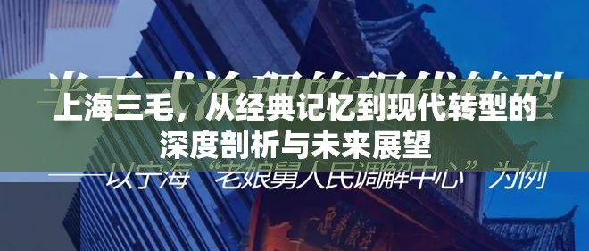 上海三毛，從經(jīng)典記憶到現(xiàn)代轉(zhuǎn)型的深度剖析與未來展望